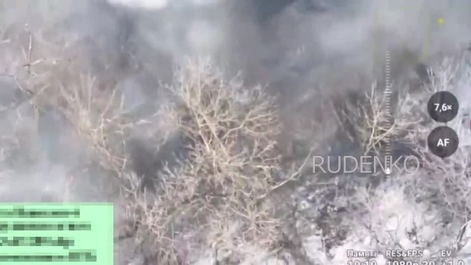 ������ �������: ������������ ����������� ������� ���������� ����������� ������� ��� ������������� ������������ ������������ � ����������� �������