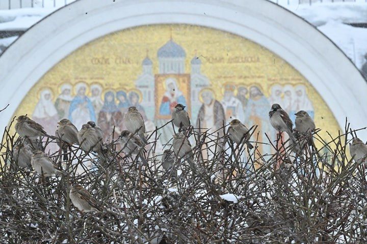 �������� ��������� ������� ����������� ������� �� ��������� ���������