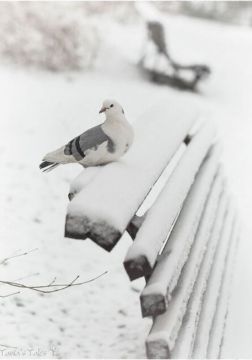 Мирного воскресного утра!