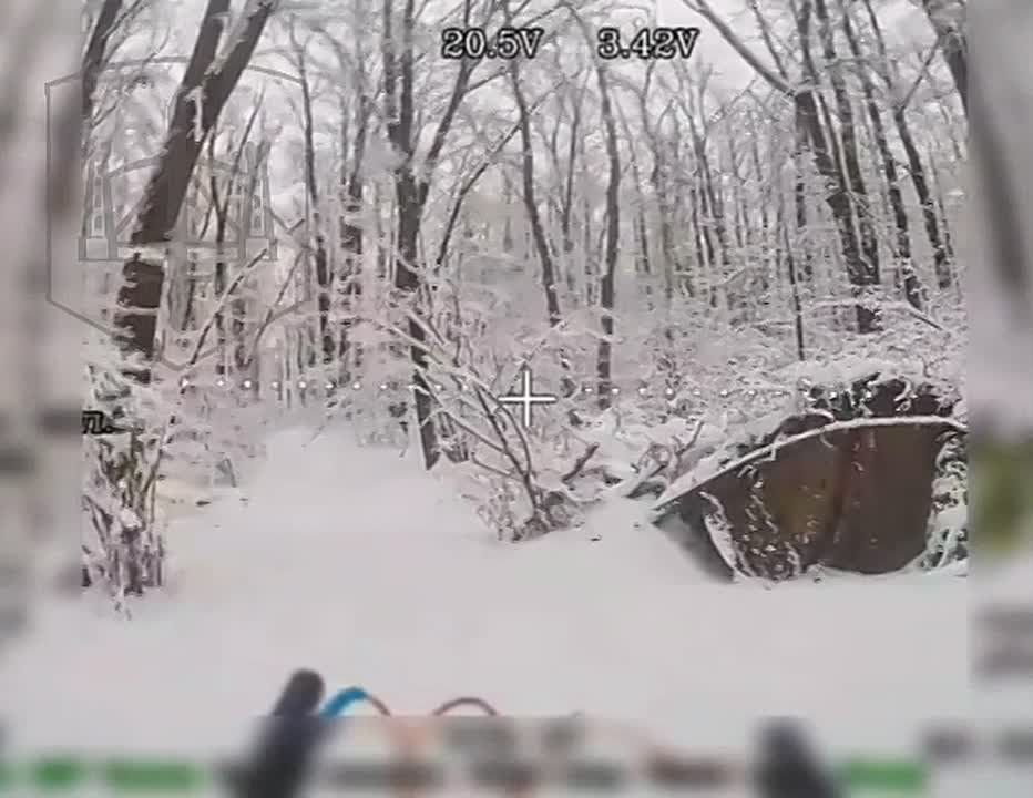 ���������� �����������.. �������� �����-��������� 392 ����� ��������� "������" ��������� ������� ���������� �������� ����������� ����� ���������� �������