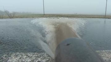 ���� ������ �� 70% �����: � ����������� ������� ���������� �������� � ������������� �������