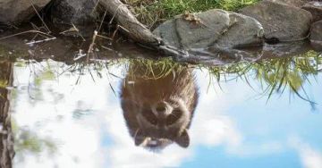 Доброе утро, друзья! Хорошего вам дня и отличного настроения!