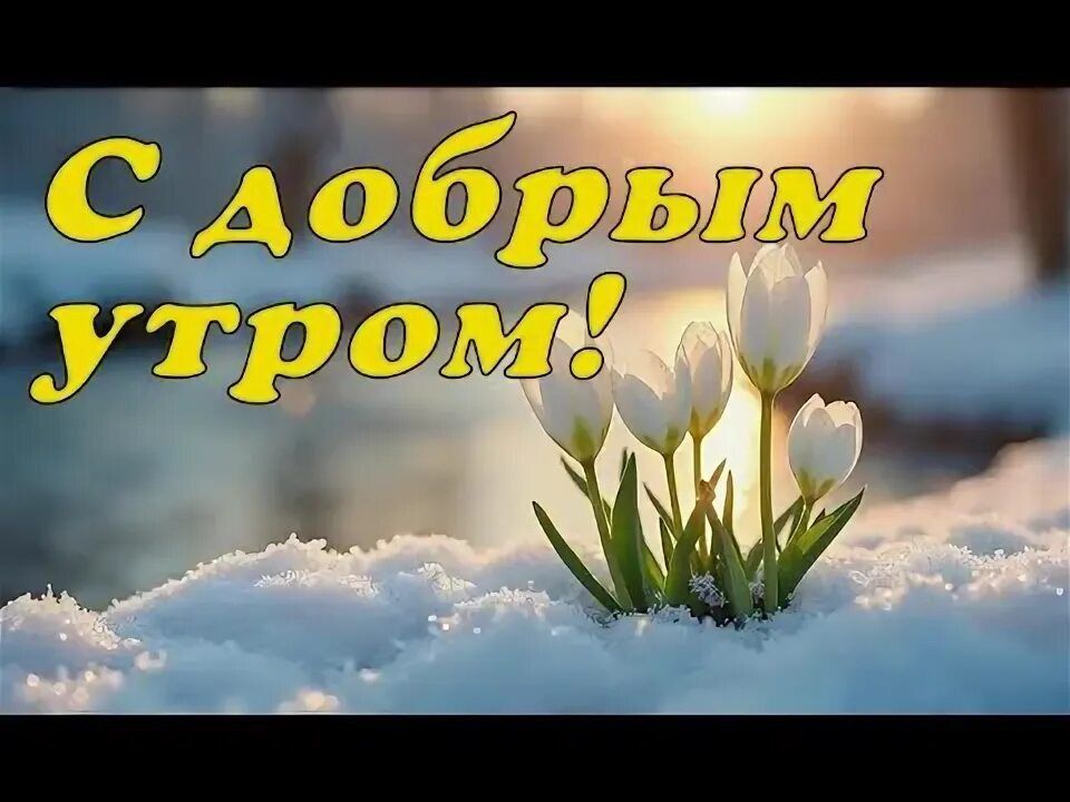 � ������ ����� ������������