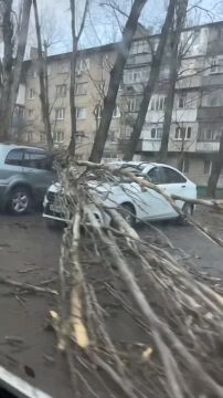 � ���������� ������� �������� ������