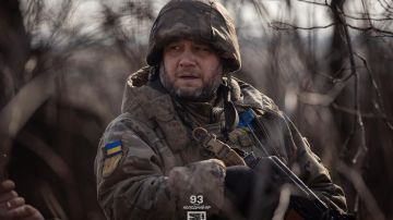 Атаки ВСУ и "Фортеця Орихив": Рогов о том, почему Зеленский хочет любой ценой удержать Запорожье