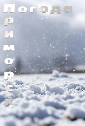 ������ �������� (���������� �����), 17.02.2026