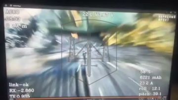 Запорожское направление. Оператор ударного дрона 7 дивизии ВДВ сжег украинскую САУ