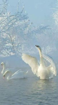 Доброе утро!