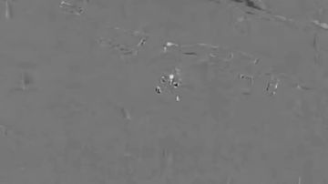 ������� ���������: ����, ��� ����, �� ������ ����� ���������� ���� � ��� FPV ����