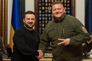 Оказывается Зеленский помешал Залужному прорваться в 2023 году к Азовскому морю в Запорожской области