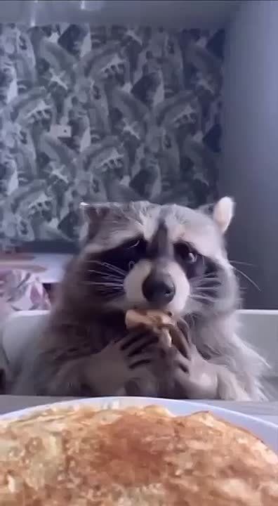 ������ ����, ������! �������� ��� ��� � ��������� ����������!