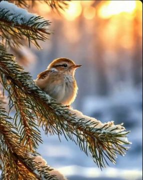 �������� ������ ���!