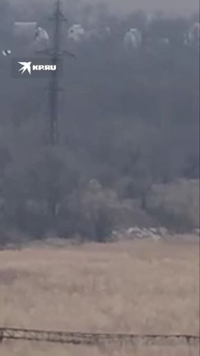 � ����������� ������� ���������� ������� ������������� ������ �� �����