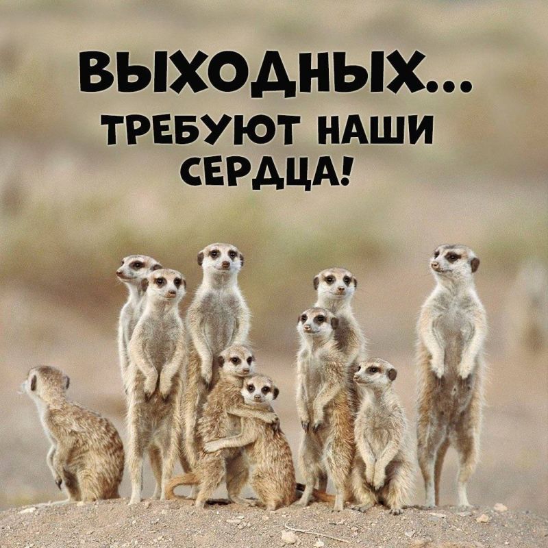 ������!. ��������� ������� ��������