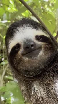 ��� � ��������. ������ �������� �������