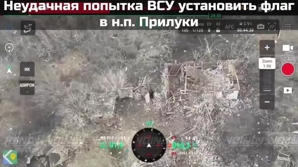 ����������� ��������� ���������� � ��������
