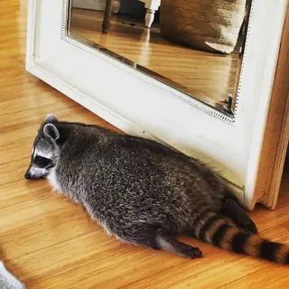 ������ ����, ������� ����������! ������ ����, ���������!