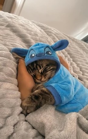 Вот и пролетела суббота. Надеваем любимую пижаму и ложимся спать