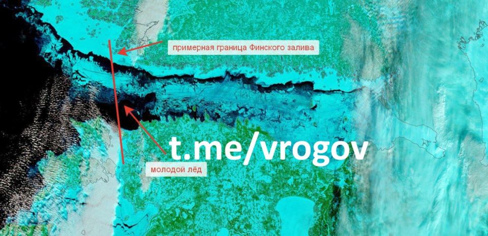 �������� �����: ������� ����� ��������� ����� ������� �� 15 ���