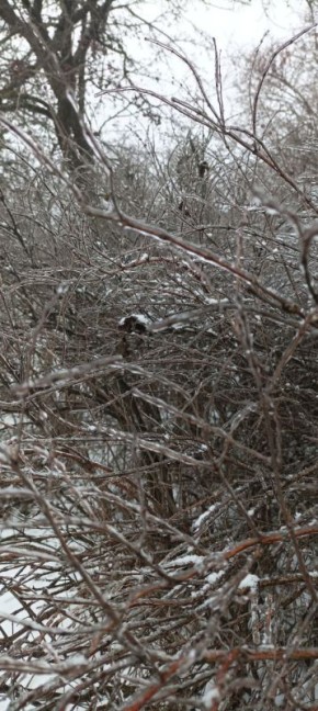 ������� ����, ������,� ��� ������! ������ ��� �������� ���� �������! ������ ������ �� ���������� Ѡ ������� ������ �� ��� ��� ������