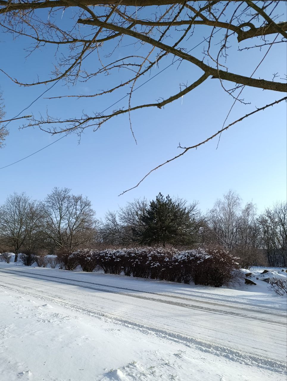 Желаем самого доброго, бодрого, счастливого, красивого, нежного, сладкого и прекрасного утра
