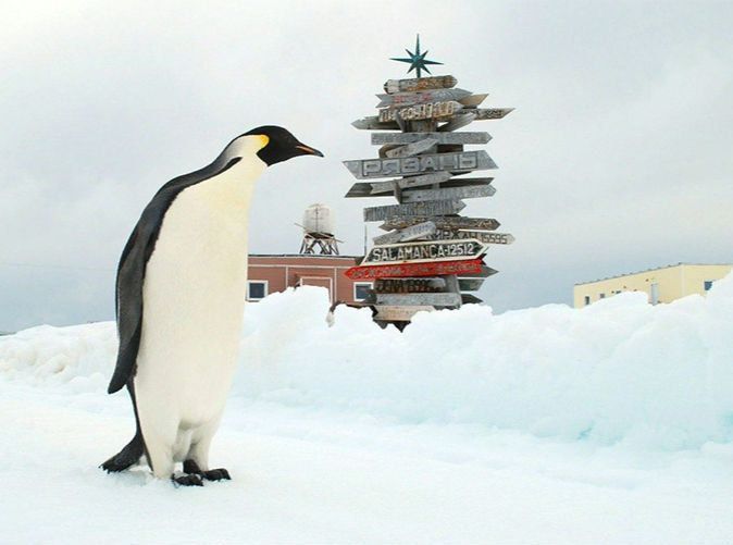 ��� ���� �������.... 22 ������� 1968 ���� � �������� ���������� ������ ����������� ��������� �������� ������� ���������������