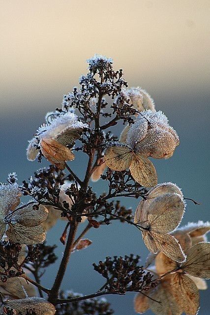 ������� ���� ������!