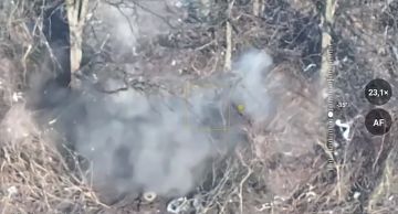 ����������� �����������. ��������� ������� ������ 19 ��� 58 ����� ���������� ��� "������" ���������� ��������