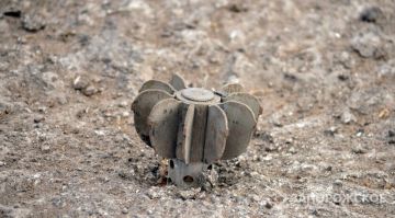 ���������� ���� ��������� ���� ������������� ������������� ������