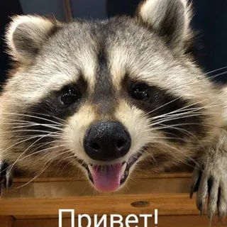 ������ ����, ������! �������� ��� ��� � ��������� ����������!