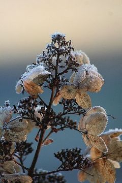 ������� ���� ������!