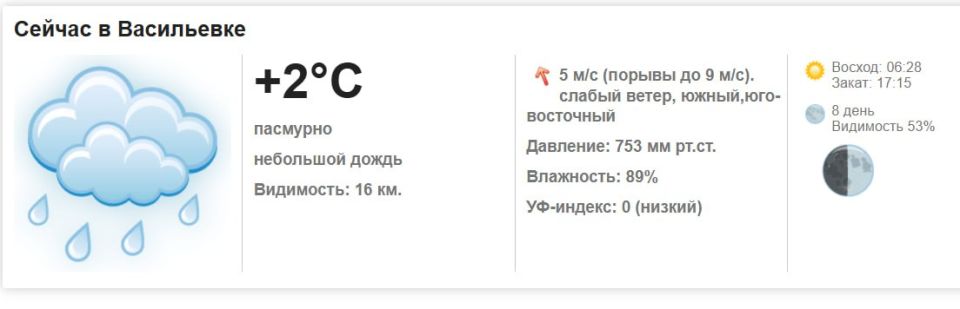 Сегодня, 24 февраля 2026 года в Васильевке пасмурно, небольшой дождь