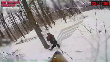 ������ ����� ������ �������������