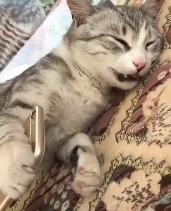 ������� ������ ��������. ����� ������ ����� ���������, �� �� ��� ����� ������� ��� ��� �� ��� ����