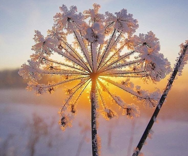 �������� ��� ������!