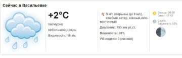 Сегодня, 24 февраля 2026 года в Васильевке пасмурно, небольшой дождь
