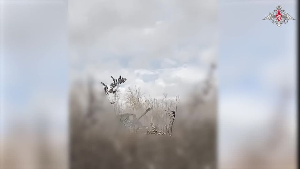 ���� �� �������. ������ ��� �������� ����������� ����� ������� ��������� ������ ������ ������ ��� � ����������� �������