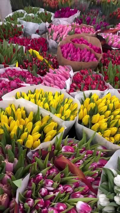 ���������� ����� ��������� �������