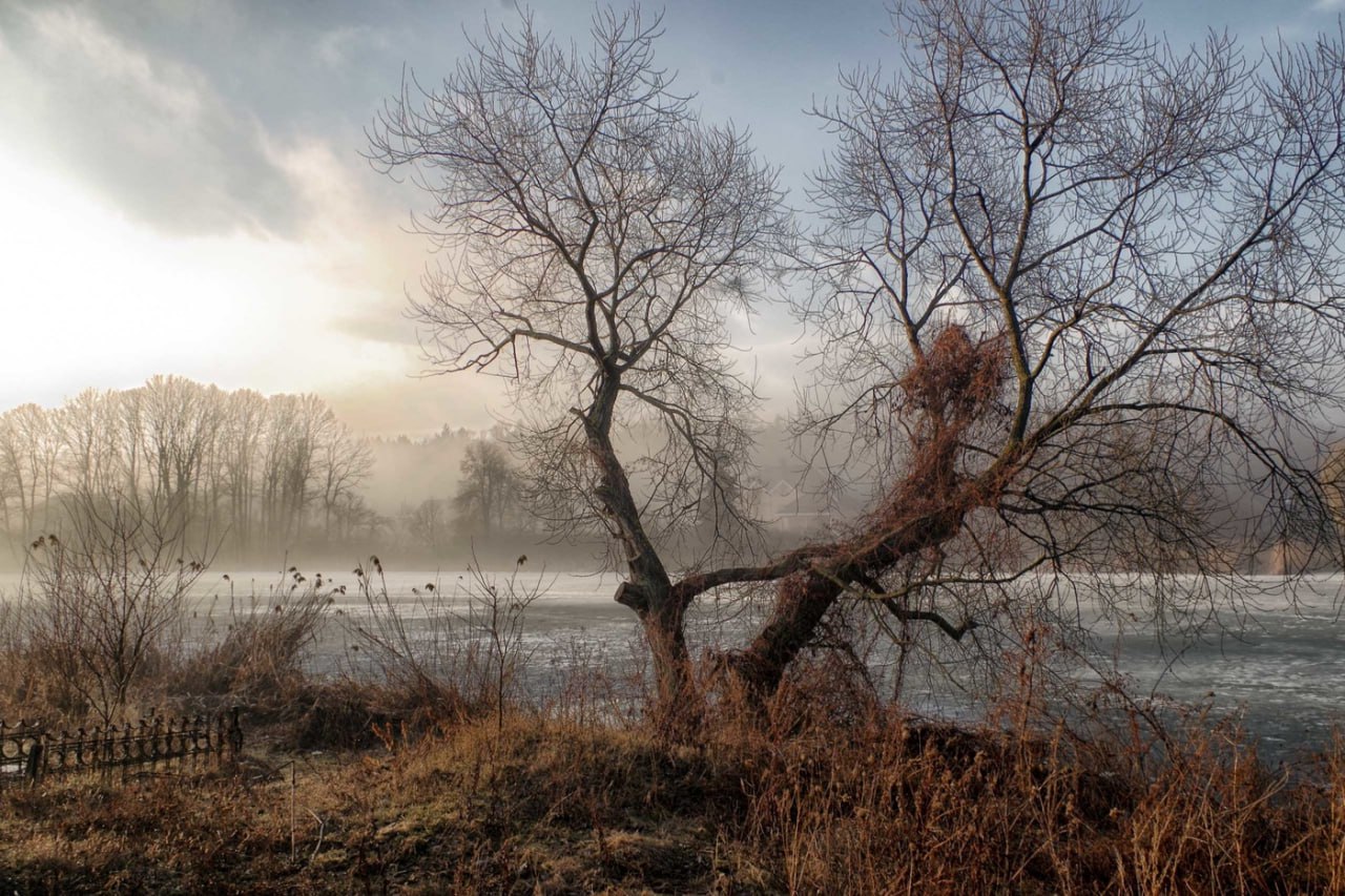 Доброе утро. А вы знали, что сегодня
