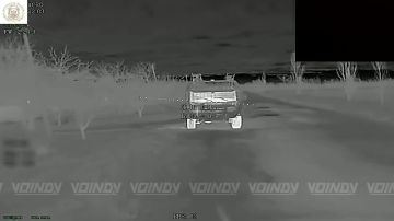 �������� �����: ��������� 38 ������� ����� ����� ���� ��� � ������ ������� ����������� �������