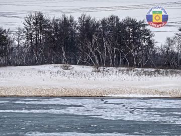 ������ ����. ����� ���� ����� ����������