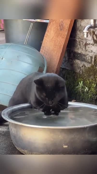 Среда — маленькая пятница. Просыпаемся, бодримся и спешим на работу