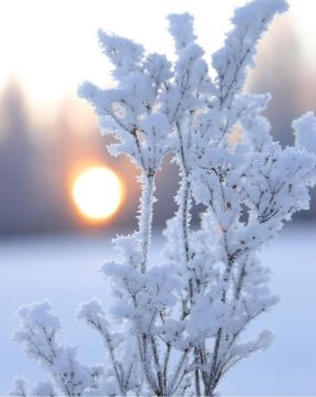 ������ �����!