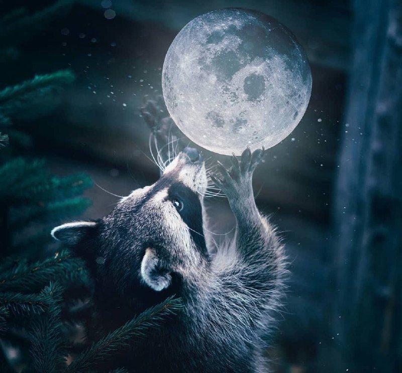 ������ ����, ������� ����������! ������ ����, ���������!