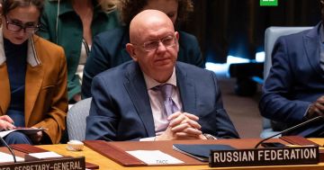 Замглавы МИД Украины поспорила с Небензей о его национальности