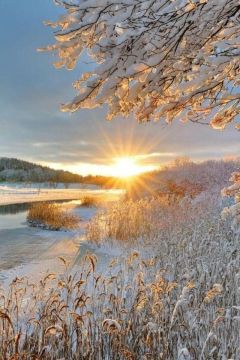 Доброй вам ночи!