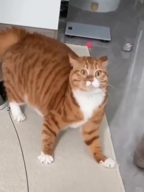 ����� ������� ����. ������� �� ���� ����������, ����� ����� ��� ������� ��� �������