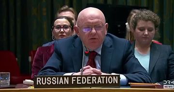Роман Насонов: Постпред России Небензя объяснил украинской делегации, кто в зале «самый щирый украинец»: