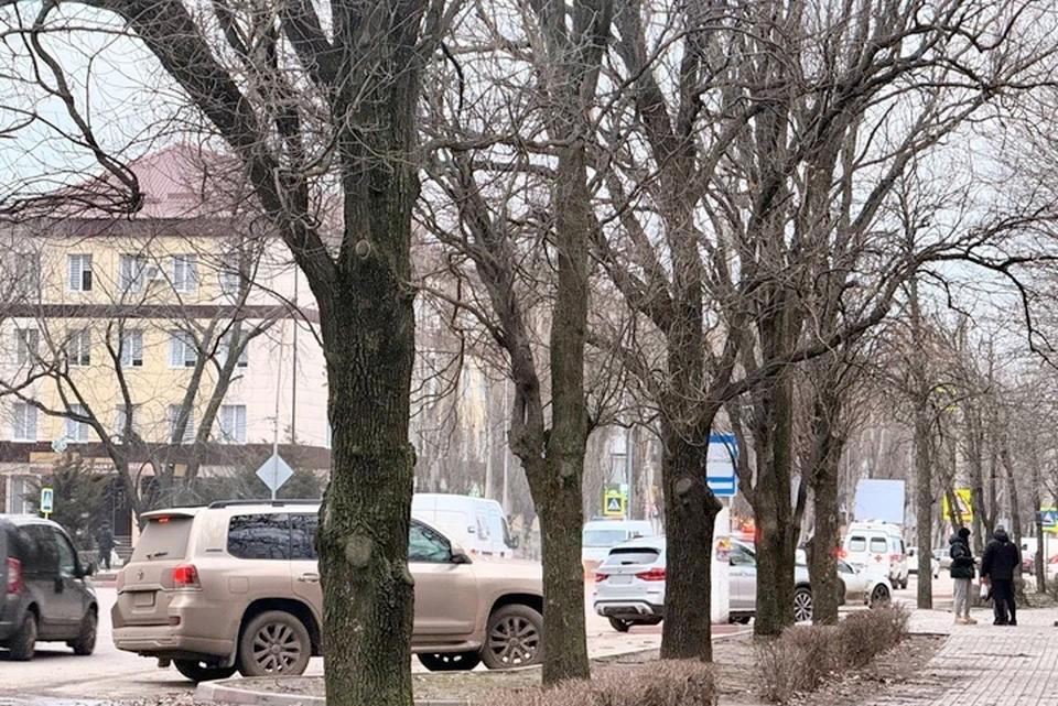 Затяжной дождь и гололед: 26 февраля в Запорожской области ожидается