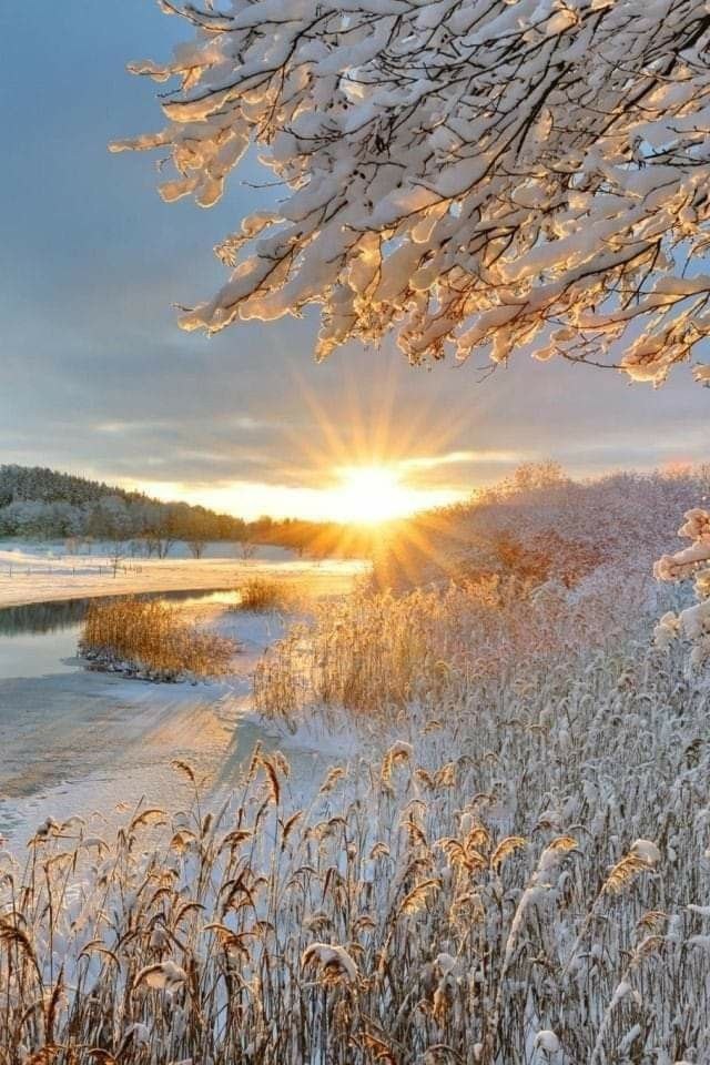 Доброй вам ночи!